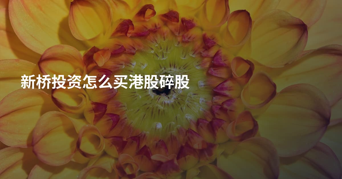 新桥投资怎么买港股碎股