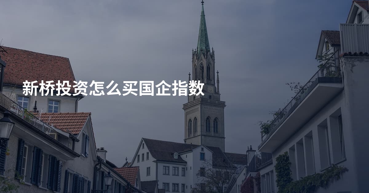 新桥投资怎么买国企指数