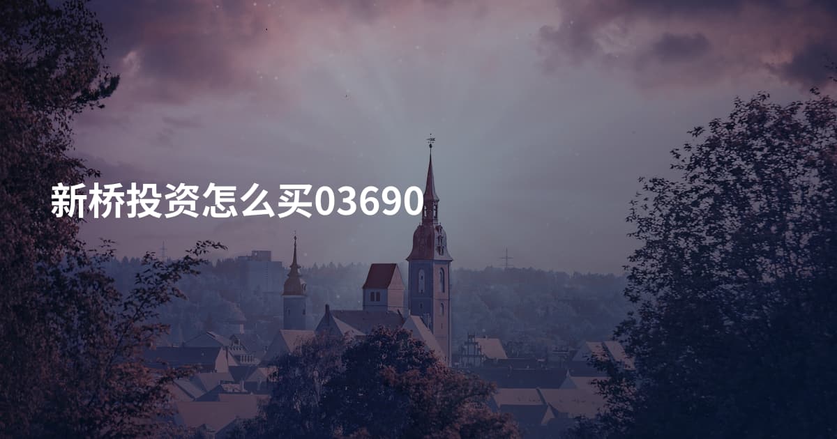 新桥投资怎么买03690