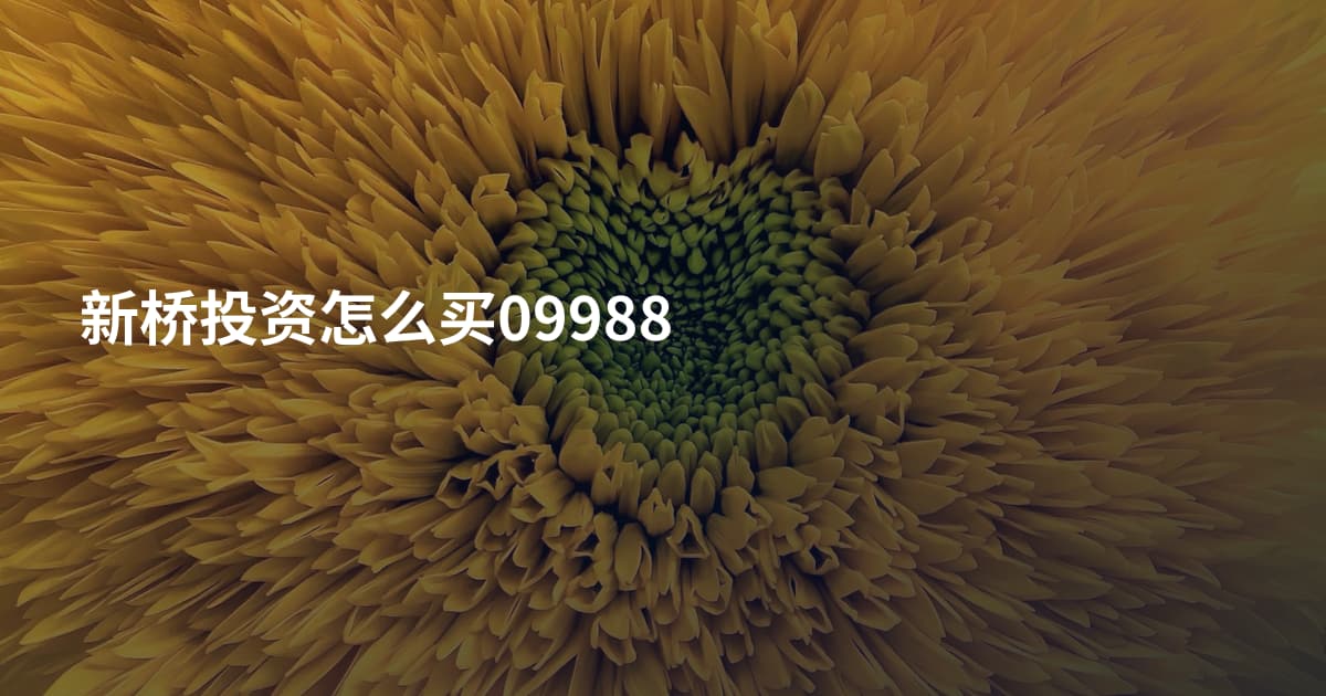 新桥投资怎么买09988
