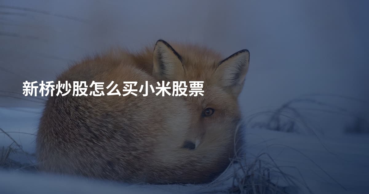 新桥炒股怎么买小米股票