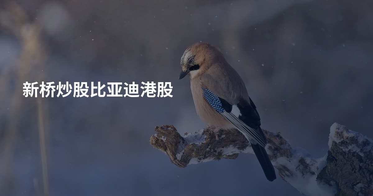 新桥炒股比亚迪港股