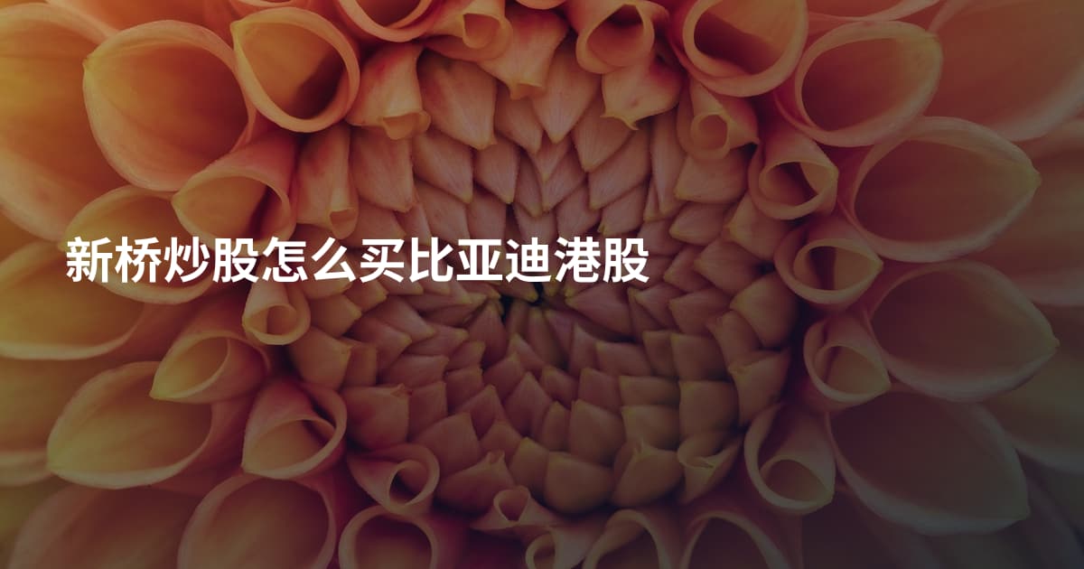 新桥炒股怎么买比亚迪港股