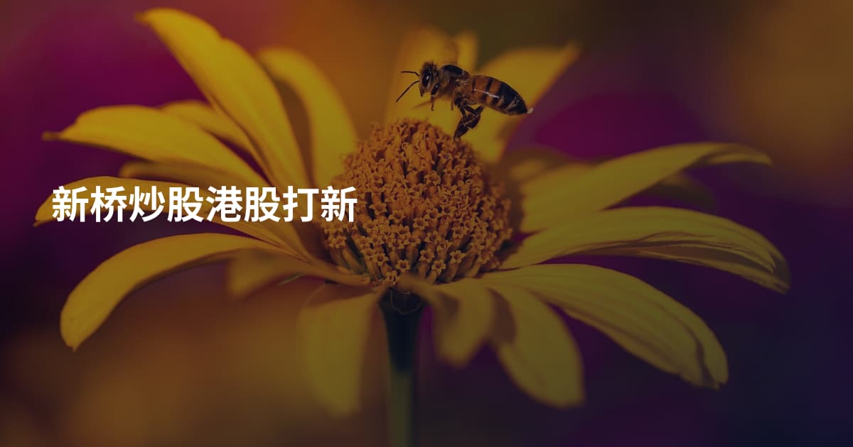 新桥炒股港股打新