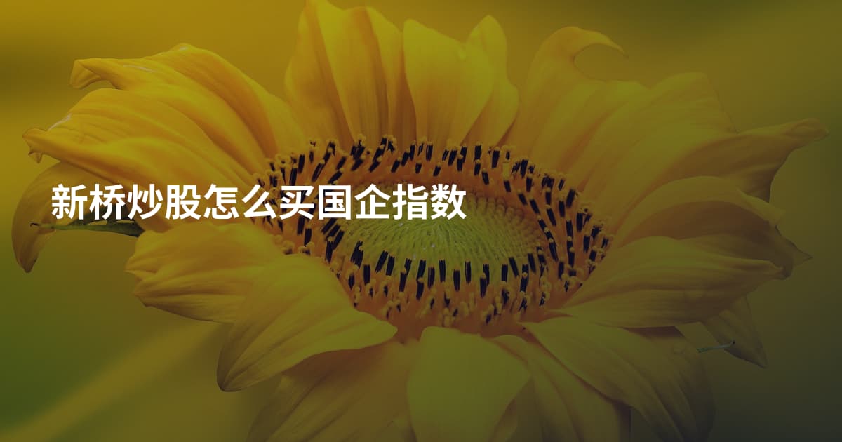 新桥炒股怎么买国企指数