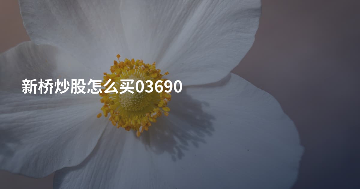 新桥炒股怎么买03690