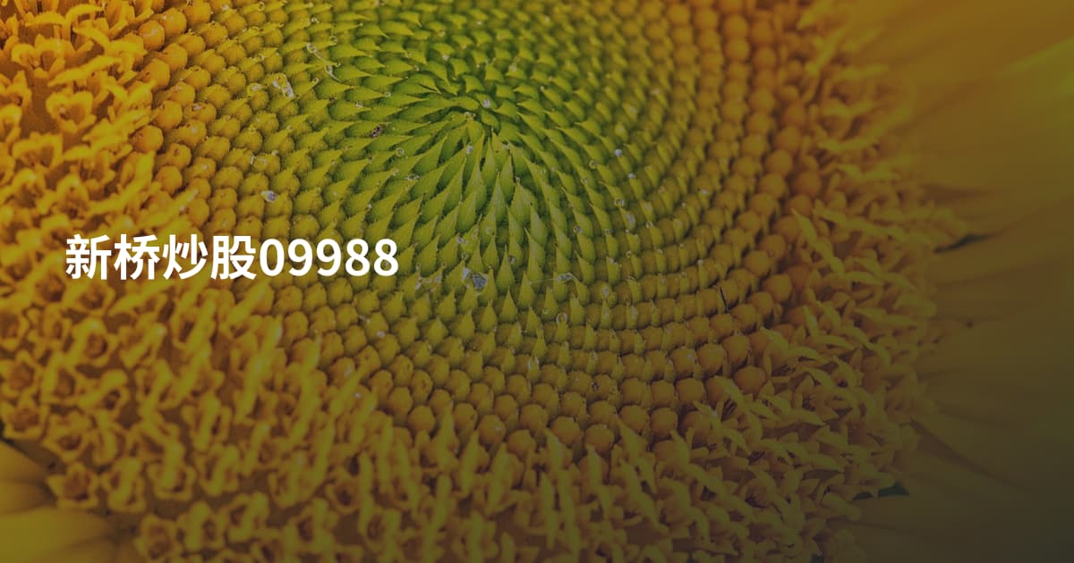新桥炒股09988