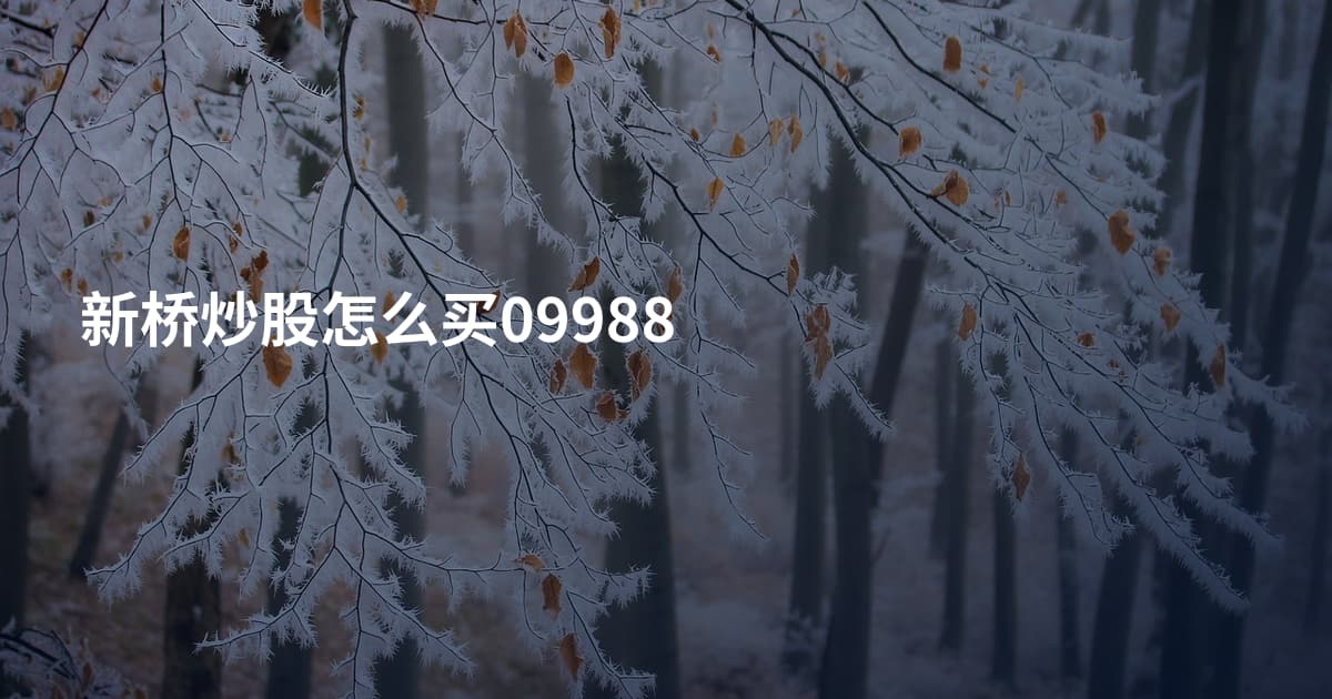 新桥炒股怎么买09988