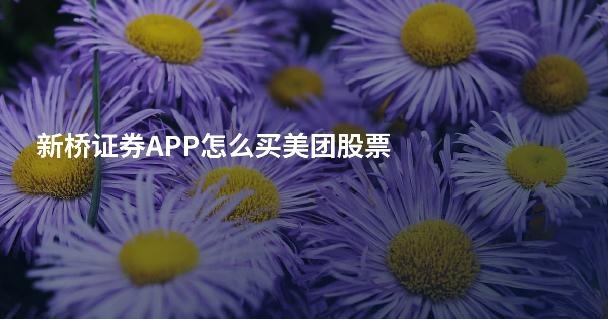 新桥证券APP怎么买美团股票