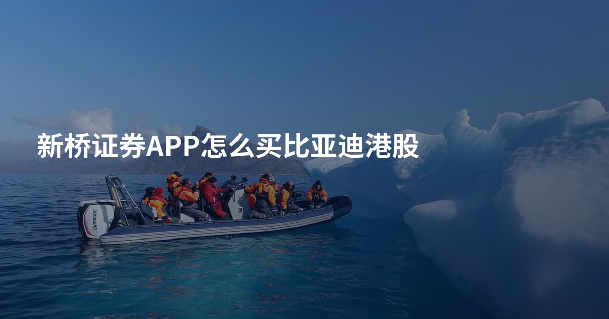 新桥证券APP怎么买比亚迪港股