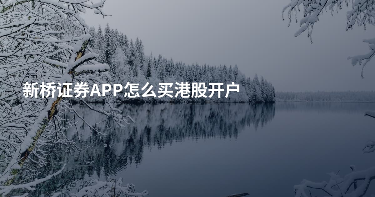 新桥证券APP怎么买港股开户
