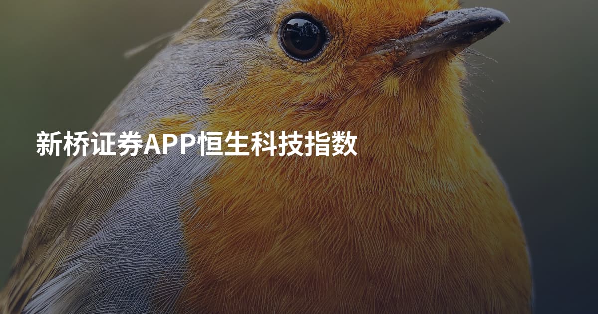 新桥证券APP恒生科技指数