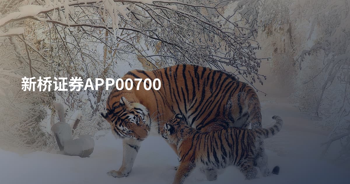 新桥证券APP00700