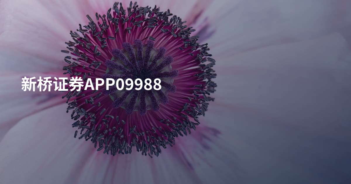 新桥证券APP09988