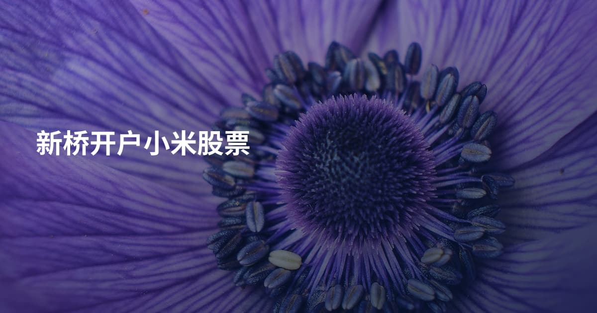 新桥开户小米股票