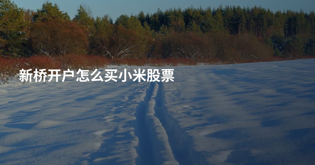 新桥开户怎么买小米股票