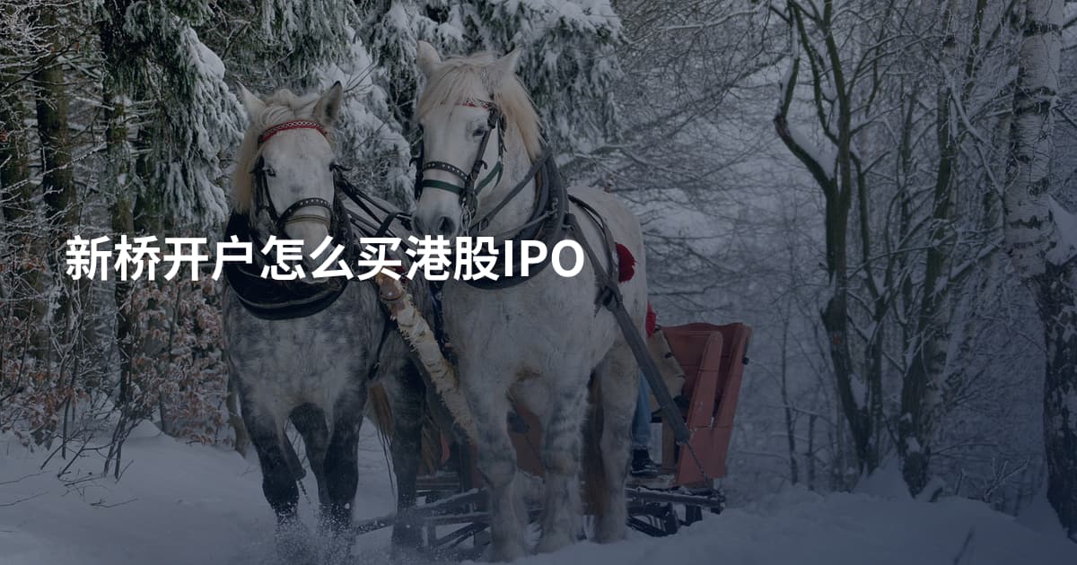 新桥开户怎么买港股IPO