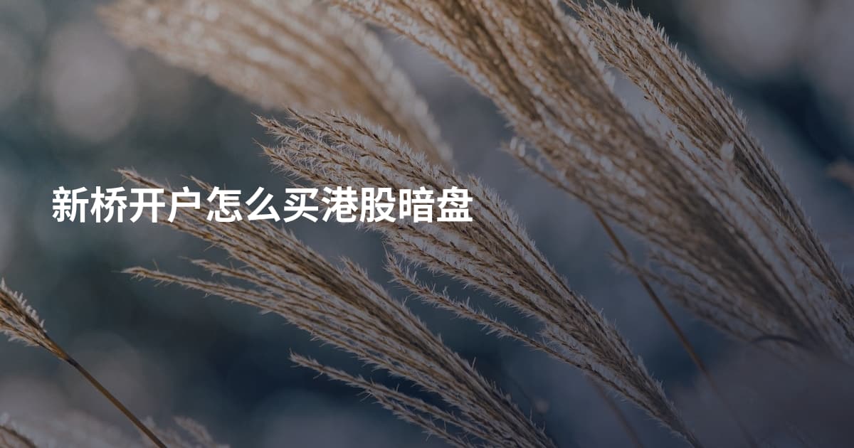 新桥开户怎么买港股暗盘