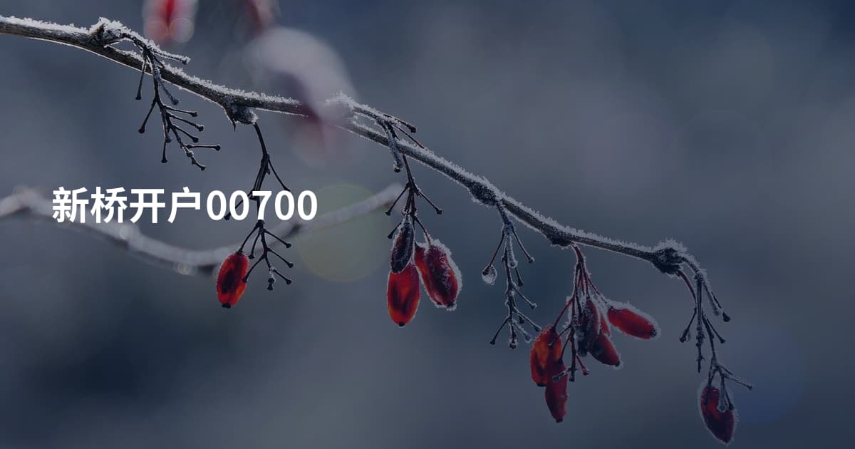 新桥开户00700