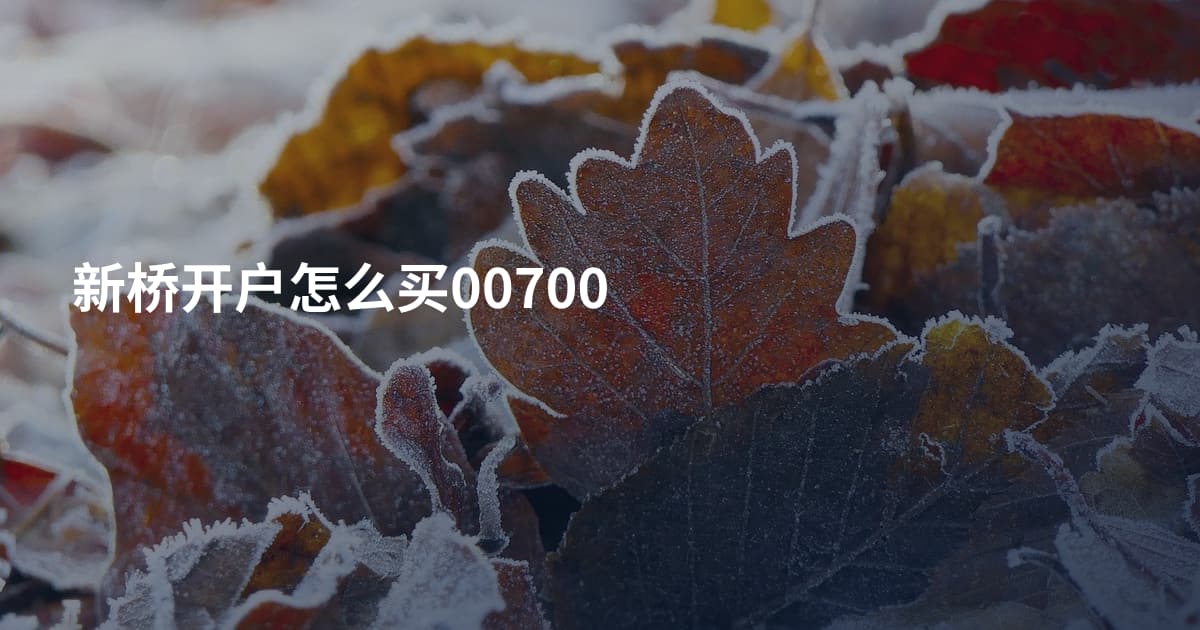 新桥开户怎么买00700