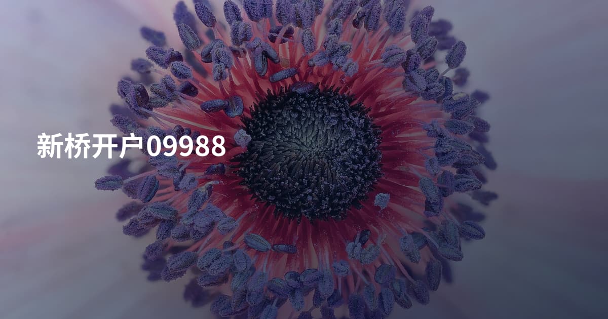新桥开户09988