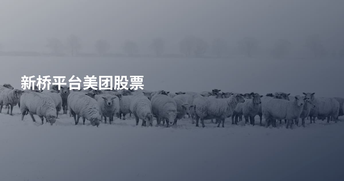 新桥平台美团股票