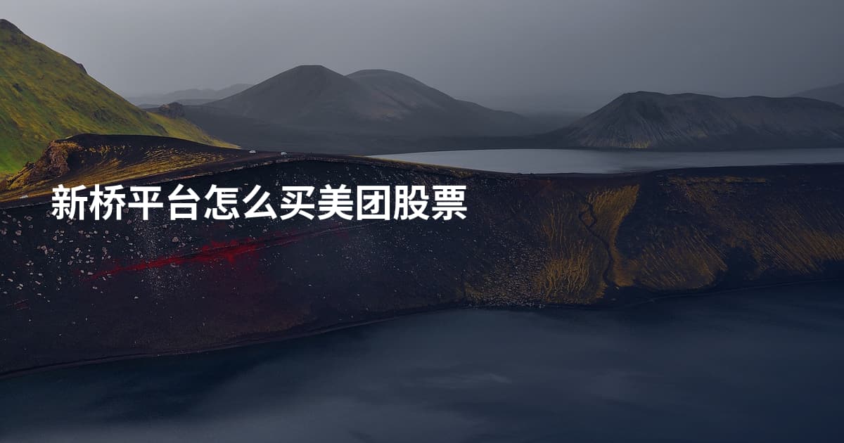 新桥平台怎么买美团股票