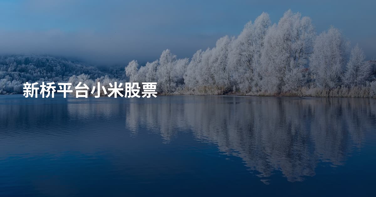 新桥平台小米股票