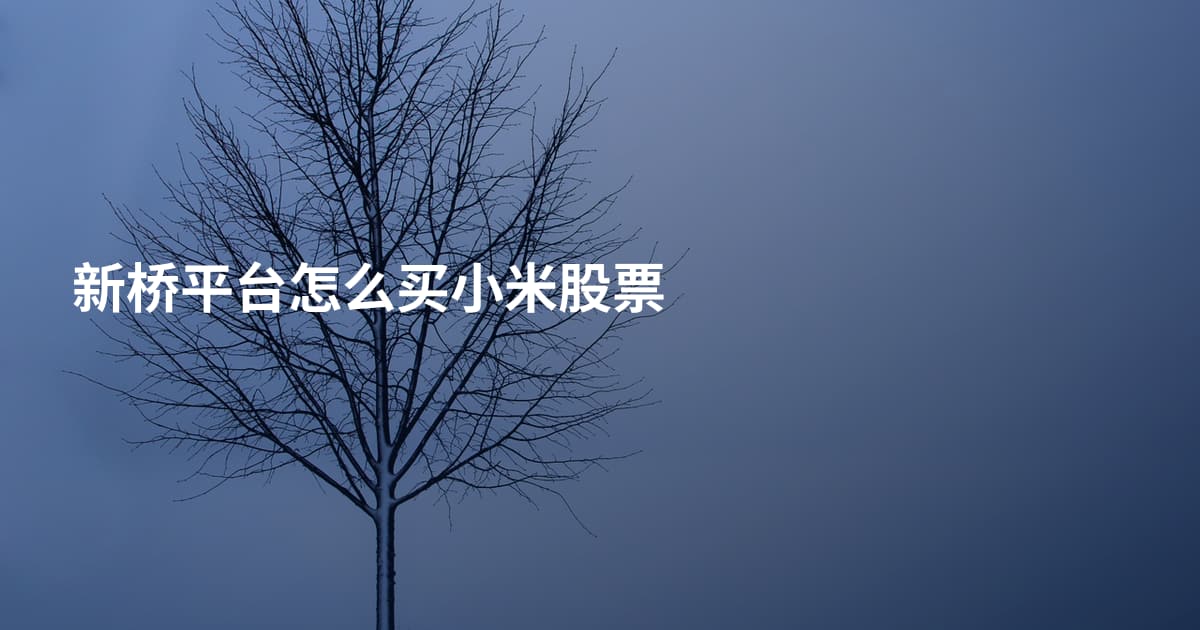 新桥平台怎么买小米股票