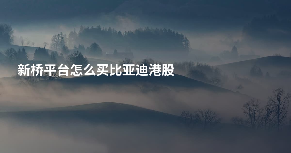 新桥平台怎么买比亚迪港股