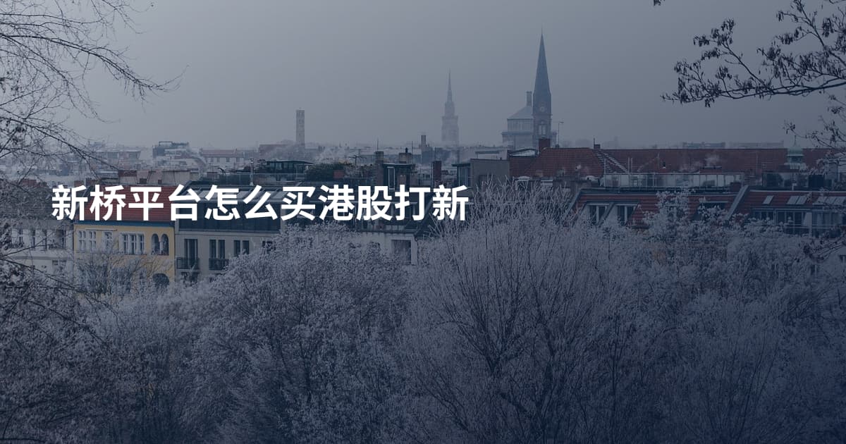 新桥平台怎么买港股打新