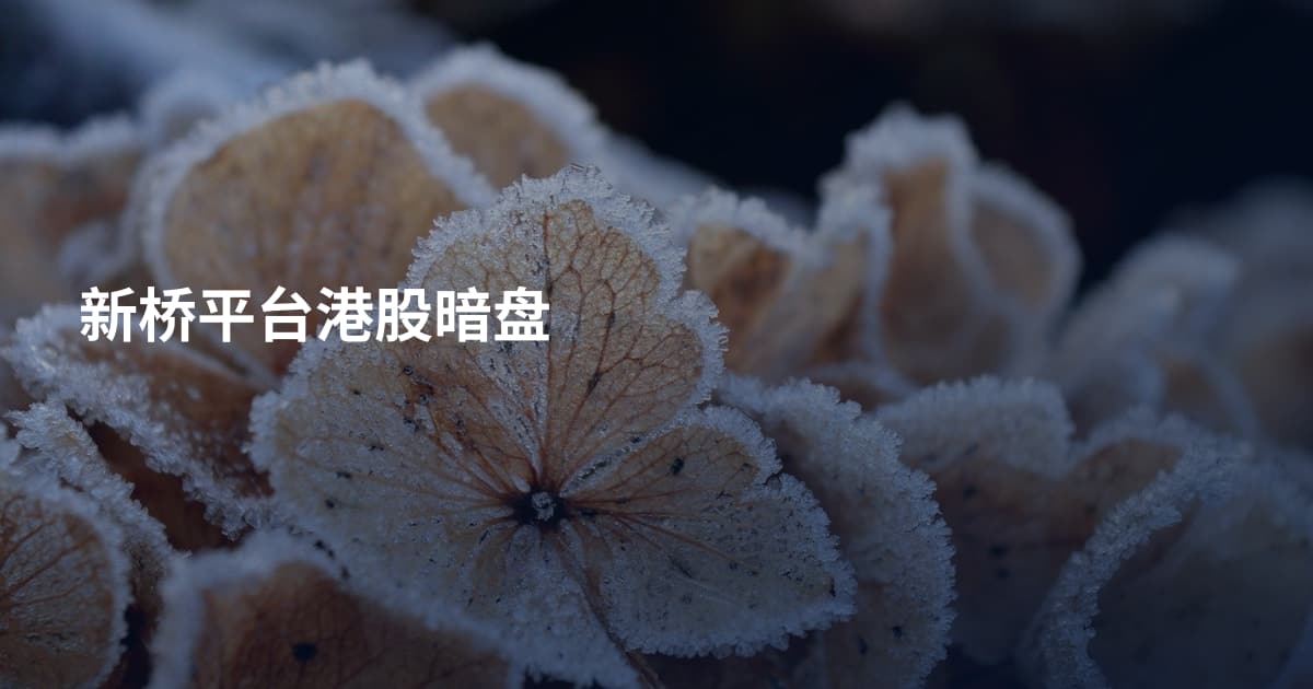 新桥平台港股暗盘