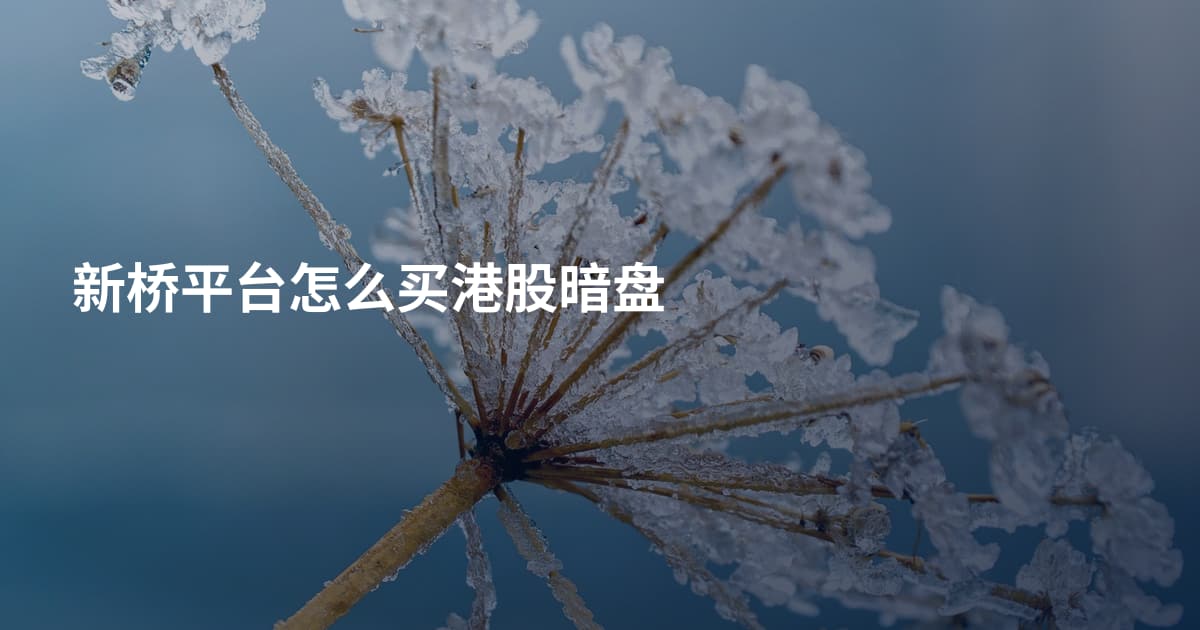 新桥平台怎么买港股暗盘