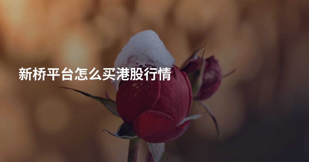 新桥平台怎么买港股行情