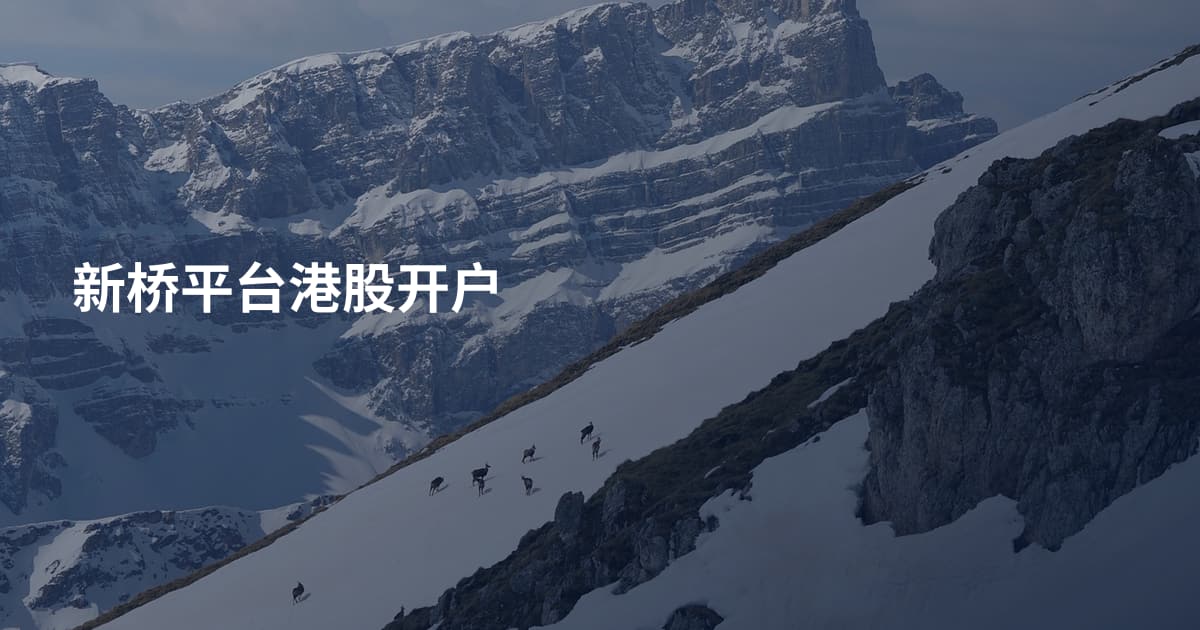 新桥平台港股开户