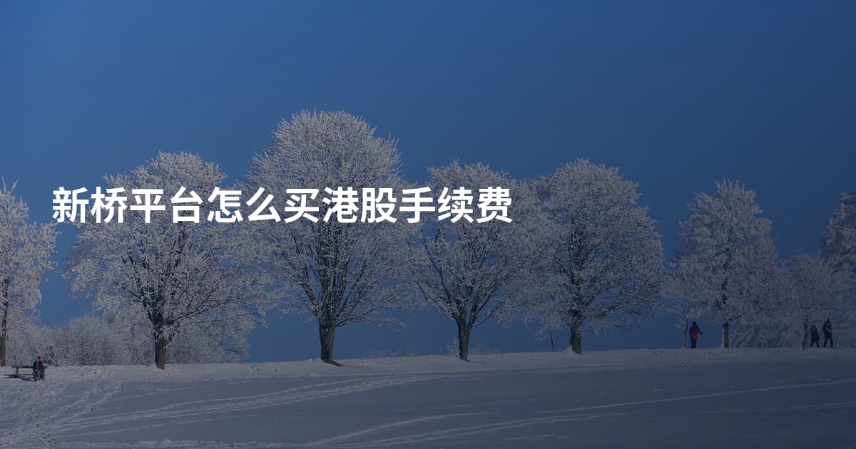 新桥平台怎么买港股手续费