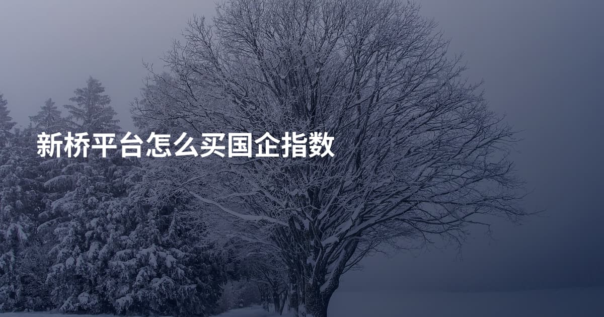 新桥平台怎么买国企指数
