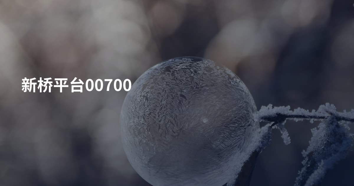 新桥平台00700