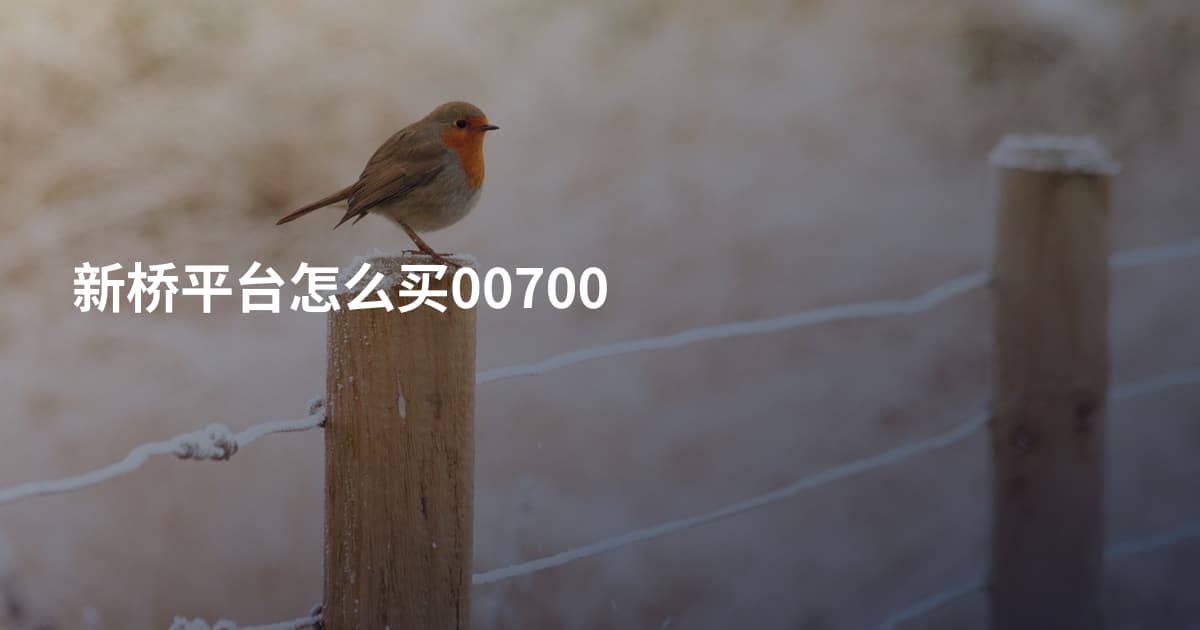 新桥平台怎么买00700