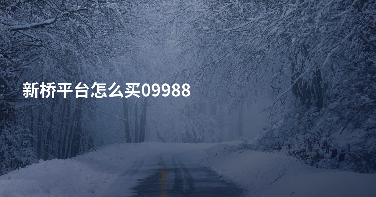 新桥平台怎么买09988