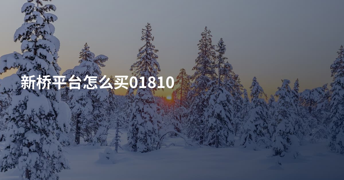 新桥平台怎么买01810