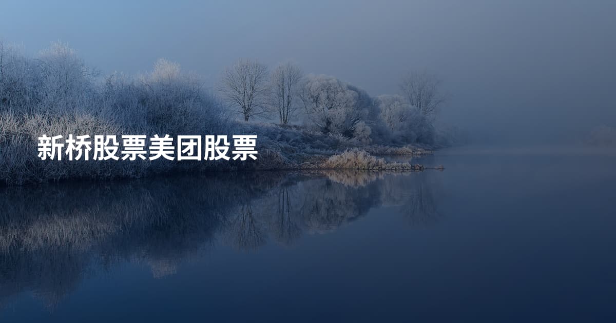 新桥股票美团股票