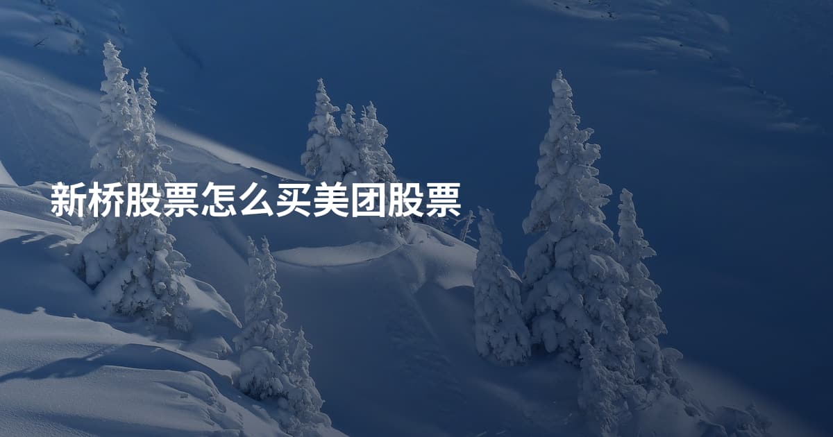 新桥股票怎么买美团股票