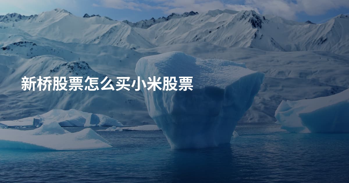 新桥股票怎么买小米股票