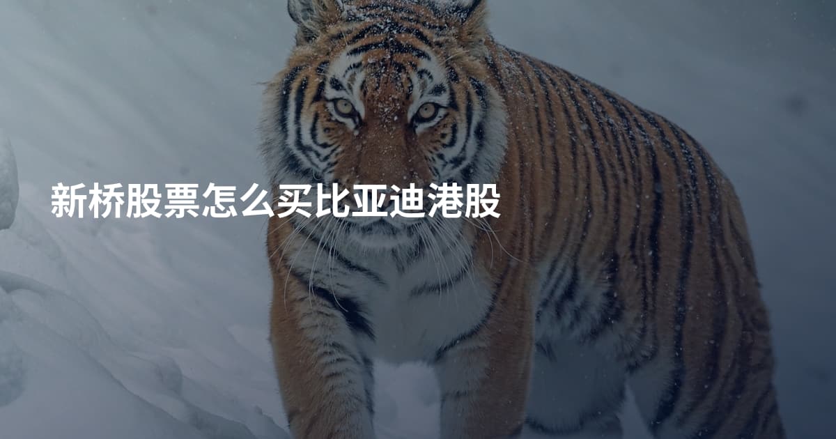 新桥股票怎么买比亚迪港股