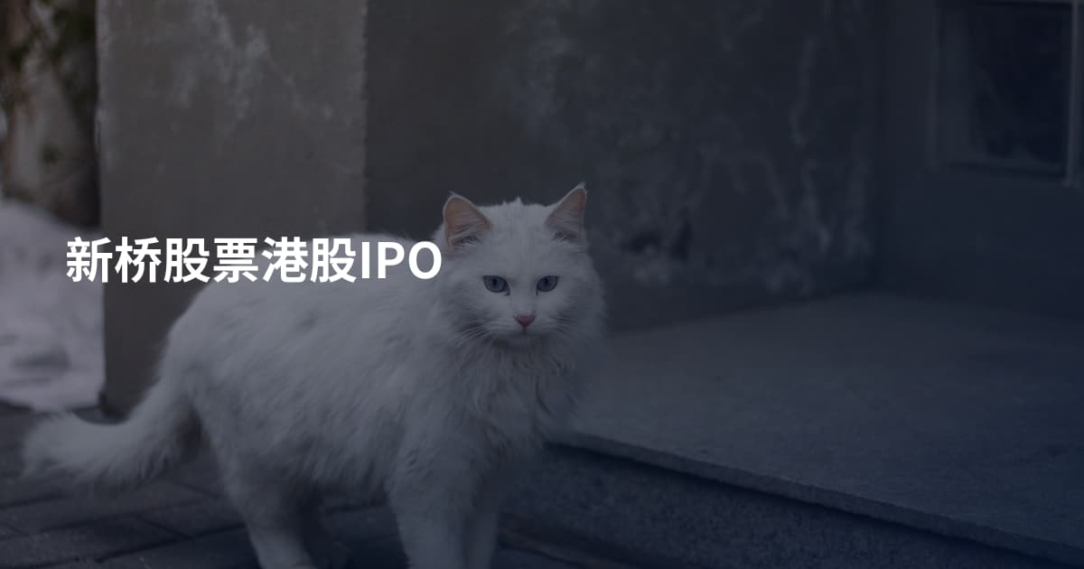 新桥股票港股IPO