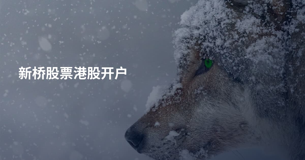 新桥股票港股开户