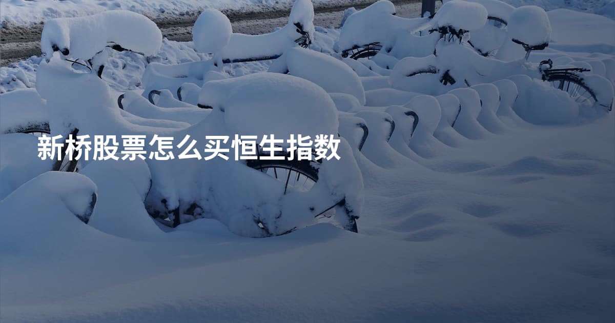 新桥股票怎么买恒生指数