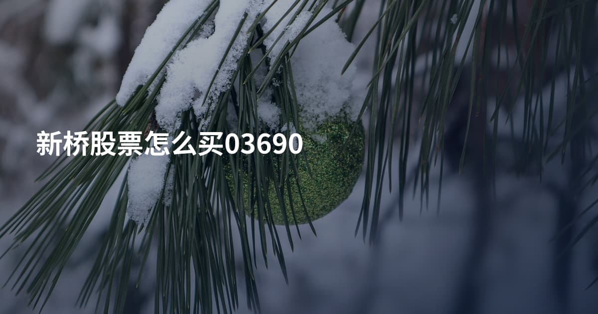 新桥股票怎么买03690