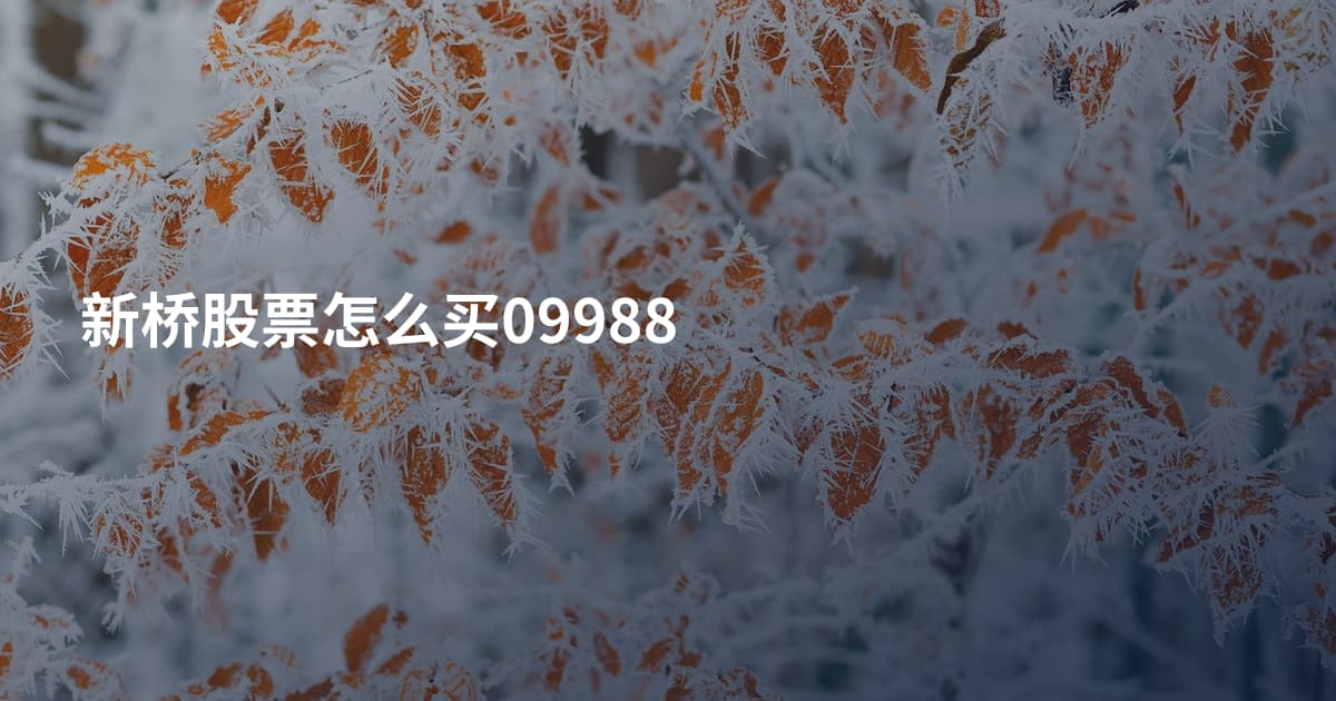 新桥股票怎么买09988